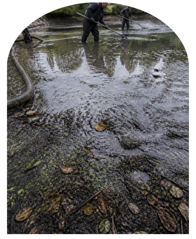 Очистка пруда в Апшеронске от ила мусора и водорослей с вывозом